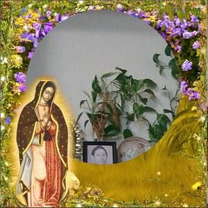 Meet your Posher, Evangelina